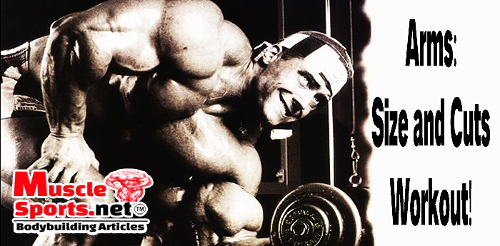 Massive arms building workout